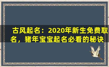 古风起名：2020年新生免费取  名，猪年宝宝起名必看的秘诀是什么